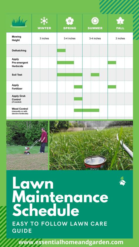 A snippet of a lawn maintenance schedule and a man dethatching and a sprinkler watering the lawn Lawn Maintenance Schedule, Lawn Care Schedule, Terrace Garden Ideas, Lawn Care Business, Yard Maintenance, Garden Layout Vegetable, Lawn Fertilizer, Lawn Care Tips, Terrace Decor