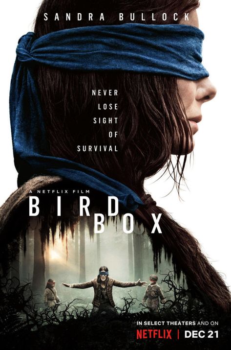 Bird Box Movie, A Serbian Film, Suspense Movies, Movies Posters, Bird Box, Best Horror Movies, Thriller Movie, Horror Posters, Movie Covers