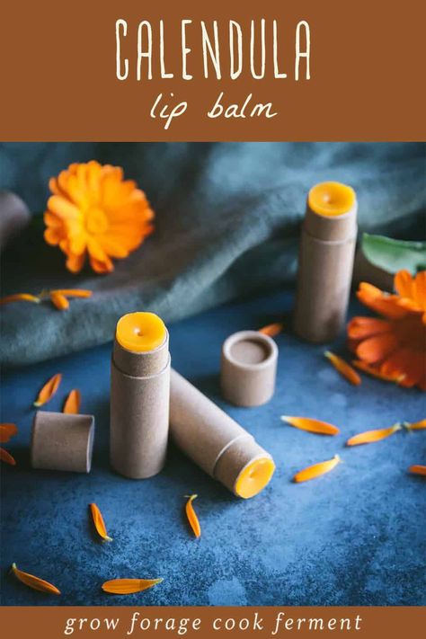 Nourish and protect your lips with this DIY calendula lip balm recipe. Experience the healing benefits of calendula and embrace the magic of homemade skincare. Start your lip care journey today and indulge in the natural goodness of this nourishing balm. Pamper your lips with the power of herbs for health and enjoy soft, supple lips every day. Calendula Recipes, Easy Lip Balm Recipe, Easy Lip Balm, Herbal Lip Balm, Healing Lip Balm, Lip Balm Recipe, Diy Lip Balm Recipes, Homemade Skincare, Balm Recipe