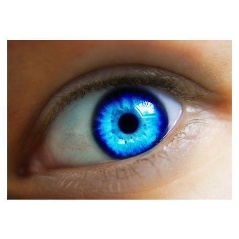 Related image with Bright Blue Eyes ❤ liked on Polyvore featuring beauty products, skincare, eye care and eyes Blue Eye Color, Beautiful Eyes Color, Bright Blue Eyes, Eyes Artwork, Crazy Eyes, Beautiful Blue Eyes, Aesthetic Eyes, Blue Pin, Blue Eye