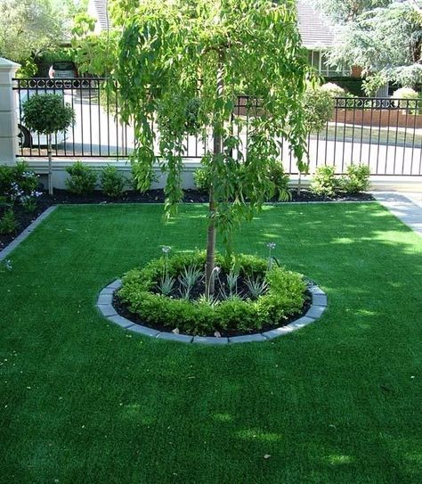 Trees For Front Yard, Landscaping Around Trees, Small Front Gardens, Front Gardens, Small Front Yard Landscaping, Front Garden Landscape, Front Garden Design, Front Yard Design, Front Yard Garden Design