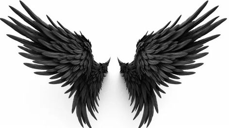 3d illustration demon wings,black wing plumage isolated on white background,hd photography photo,angel wings,feather,wings,fantasy,freedom,angel,black,dark,devil wings,wing,white wings,angel background,devil,fantasy background,feather background,fluffy,fly,black white,dark background Dark Wings Aesthetic, Demon With Wings, Angel Background, Guy Denning, Dark Devil, Dark Angel Wings, White Background Hd, Devil Wings, Magic Wings