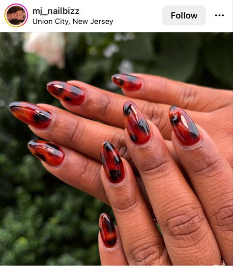 Tortoise Shell 🐢 Red Tortoise Shell Nails, Tortoise Nails, Tortoise Shell Nails, Shell Nails, Turtle Shell, Yemen, French Manicure, Tortoise Shell, How To Do Nails