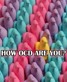 I Got Full Blown OCD – Approximately 90-100% OCD!!  Where do you think your friends stack up on the OCD meter? Share this quiz and let’s see where they’re at!     Mmmmmm a bit of fun. Fun Test, Buzzfeed Quizzes, Fun Quiz, Personality Quizzes, Fun Quizzes, Just Kidding, A Group, You Think, Funny Pictures