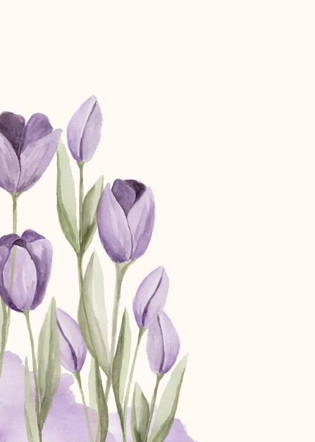 Premium Vector | Manual painted of purple tulip flower watercolor as background frame Camera Drawing, Watercolor Flower Background, Tulip Painting, Background Frame, Tulips Art, Watercolor Tulips, Planner Art, Watercolor Floral Pattern, Background Drawing