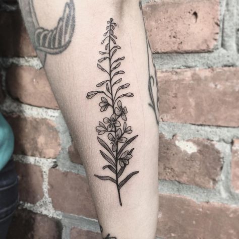 Pioneer Peak Alaska Tattoo, Fireweed Tattoo, Alaska Tattoo, Tattoo Mini, Sister Tattoo, Western Tattoos, Floral Tattoos, Fire Tattoo, Mother Tattoos