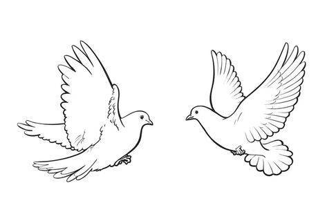 Two Doves Drawing, Turtle Dove Tattoo Matching, Dove Tattoos For Men, Dove Outline Tattoo, Dove Tattoo Stencil, Dove Outline, Small Dove Tattoos, Dove Drawing, Half Sleeve Tattoo Stencils