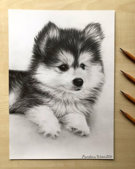 puppy dog pencil drawing Realistic Dog Drawings Pencil, Dog Sketch Ideas, Dog Realistic Drawing, Puppy Sketch Pencil Drawings, Puppy Drawing Sketches, Puppy Pencil Drawing, Cute Puppy Sketch, Painting Knowledge, Cute Dog Sketch