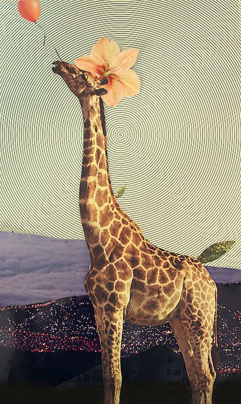 laura redburn Love Collage, Giraffe Art, Handmade Collage, A Giraffe, Beautiful Collage, Art And Illustration, Giraffes, Beautiful Creatures, Mixed Media Art