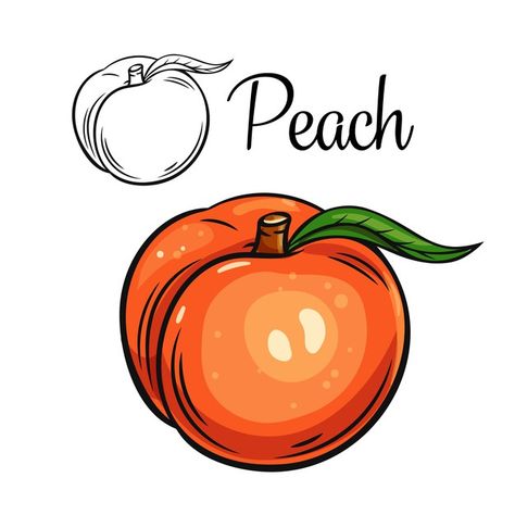 Peach Drawing Cute, Cookbook Drawings, Fence Artwork, Draw Fruit, English Stickers, Peach Drawing, Vegetable Drawing, Clay Lesson, Food Vintage