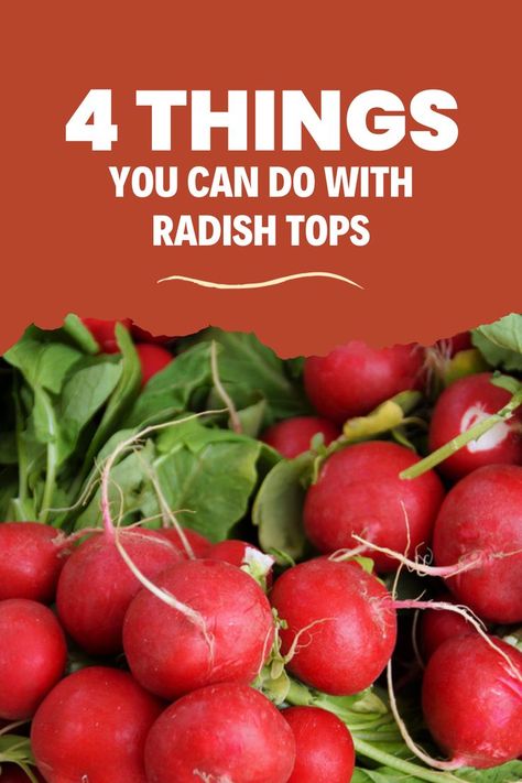 Radish Leaves Benefits, Radish Leaf Recipes, Radish Tops Recipes, Radish Mashed Potatoes, What To Do With Radishes, Radish Greens Recipes, Radish Leaves Recipe, Radish Tops, How To Cook Radishes