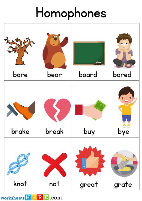 Homophones With Pictures, 100 Homophones Words Worksheets For Students and Kids - WorksheetsHere.com Homophones For Kids, Homonyms Words List, English Homophones, Homonyms Words, Homophones Activity, Homophones Worksheets, Homophones Words, Student Images, Teaching Literature