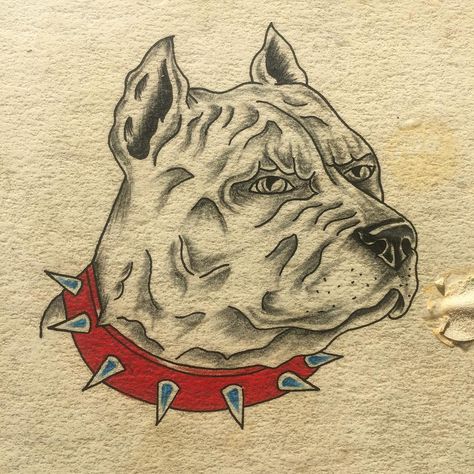 Traditional Pitbull Tattoo, Stafford Dog, Trad Flash, Traditional Tattoo Drawings, Vintage Tattoo Art, Traditional Tattoo Flash Art, Pitbull Tattoo, Vintage Tattoo Design, Angry Dog