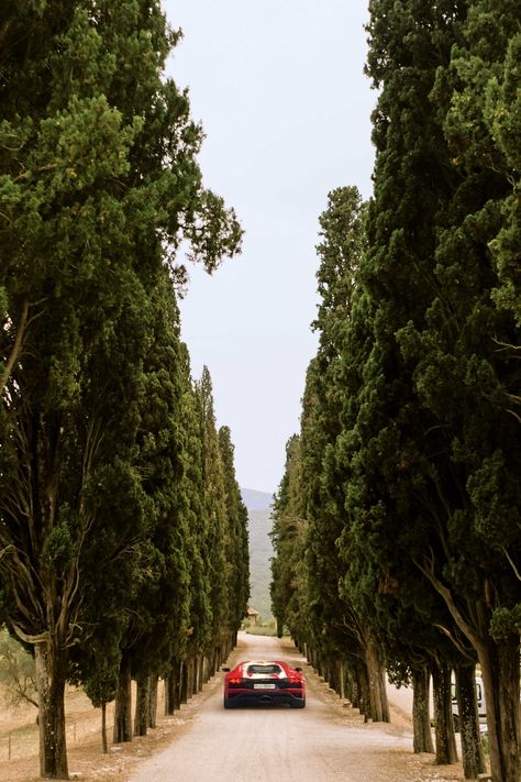 Hotel Driveway, Italian Cypress, Italian Country, Italy Destinations, Ultimate Road Trip, Belmond Hotels, Beautiful Countryside, Toscana Italia, Italian Vacation