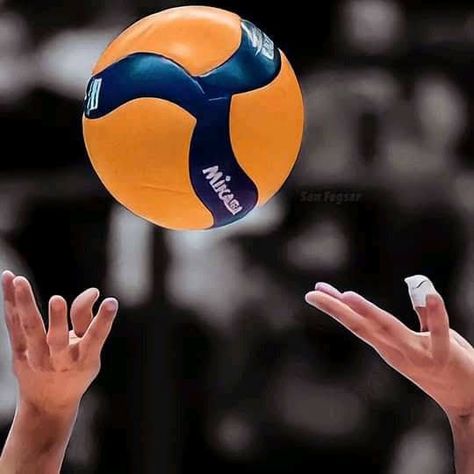 Bola Volly Aesthetic, Volleyball Picture, Ariana Grande Grammys, Volleyball Wallpaper, Volleyball Ball, Sport Aesthetic, Volleyball Pictures, Sports Aesthetic, Volley Ball