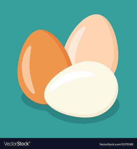 Chicken Egg Breakfast, Egg Illustration Design, Bendera Melaka, Eggs Illustration, Egg Project, Egg Cartoon, Egg Illustration, Dog Infographic, Eggs Image