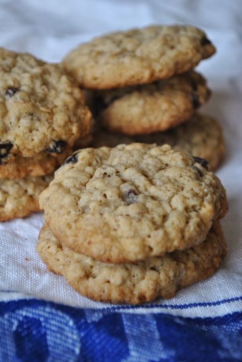 Large Batch Oatmeal Cookies Large Batch Oatmeal, Coconut Blueberry, Oatmeal Cookies Easy, Best Oatmeal Cookies, Oatmeal Raisin Cookies Chewy, Blueberry Cookies, Easy Oatmeal, Cookies Easy, Oatmeal Cookie Recipes