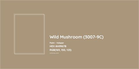 HEX #A9967B Wild Mushroom (3007-9C) Paint Valspar - Color Code Valspar Mushroom Paint Colors, Pantone Tcx, Valspar Colors, Analogous Color Scheme, Paint Color Codes, Rgb Color Codes, Hexadecimal Color, Mushroom Paint, Rgb Color Wheel