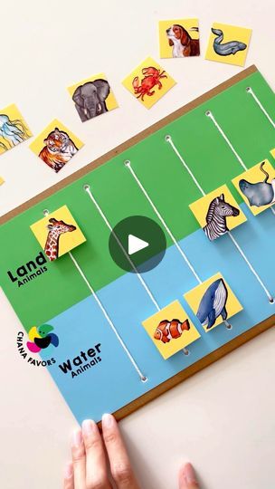 46K views · 628 reactions | Discover the fun of learning with our Land or Water Play printable! 🐾🌊 This engaging activity helps kids develop fine motor skills and expand their vocabulary by sorting animals into their correct habitats.

Easy to set up and perfect for home or classroom use. Download now from our store and make learning fun for your little ones!

#chanafavors #learningisfun #kidslearning #earlylearning #preschool #earlychildhoodeducation #playandlearn #kidsactivities #toddleractivities #finemotorskills #playideas #preschoolactivities | Chanafavors | Jayme Stone · Mighty Calypso Sorting Animals Preschool, Land And Water Animals Activities, Pet And Wild Animals Sorting Activities, Animal Habitats Preschool Activities, Animal Habitat Preschool Activities, Animals And Their Homes Craft, Wild Animal Activity Preschool, Animals Habitats Activities, Animal Habitats Activities For Kids