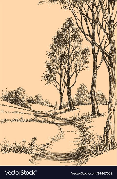 Park Sketch, Road Drawing, Sketch Wallpaper, Forest Sketch, Mountain Sketch, Landscape Pencil Drawings, Sketch Background, Forest Drawing, Nature Sketch