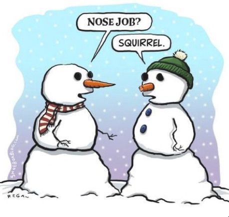 Snowman Jokes, Winter Jokes, Winter Humor, Snow Humor, Funny Snowman, Christmas Jokes, Christmas Memes, Nose Job, Holiday Humor