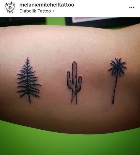 Cactus, Palm Tree and Pine Tree Tattoo On Inner Bicep Cactus Pine Tree Tattoo, Pine Tree And Palm Tree Tattoo, Cactus And Palm Tree Tattoo, Palm Tree Tattoo Black, Cactus Tattoo Men, Tree Tattoo Bicep, Tree Tattoo Shoulder, Tiny Cactus Tattoo, Tree Roots Tattoo