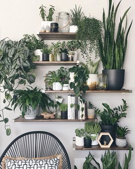 25+ Creative Ways To Arrange Your Indoor Plant Shelf | momooze.com Reka Bentuk Ruang Tamu, Vertical Wall Planter Pots, Hiasan Bilik Tidur, Tanaman Indoor, Vertical Wall Planters, Deco Jungle, نباتات منزلية, Decoration Plante, Plant Decor Indoor