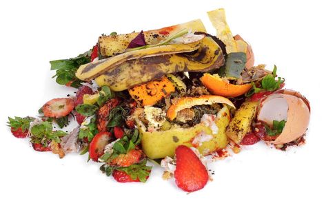 Food waste. A pile of food waste, such as eggshells and fruit and vegetable peel , #ad, #food, #eggshells, #pile, #Food, #waste #ad Food Waste Management, Food Waste Recycling, Food Wastage, Courge Spaghetti, Healthy Holistic Living, Fruit And Veggie, America Food, Social Experiment, Food Scraps