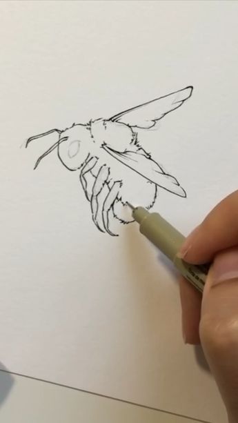 How To Draw Bees, Bee Realistic Drawing, How To Draw A Bumble Bee, Bee Drawing Step By Step, Cool Drawings Pencil, How To Draw A Bee, Draw Bumble Bee, Bumblebee Sketch, Bee Art Painting