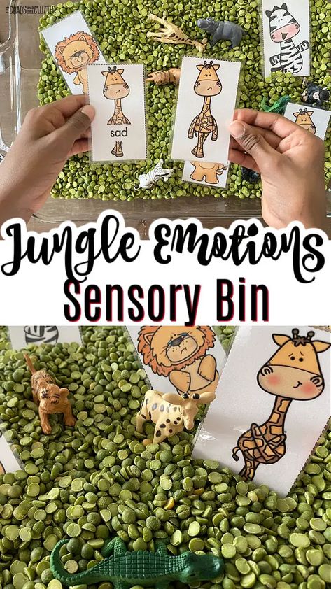 Emotions Sensory Bin, Jungle Sensory Bin, Rainforest Preschool, Preschool Jungle, Jungle Activities, Toddler Sensory Bins, Rainforest Theme, Feelings Activities, Emotions Cards