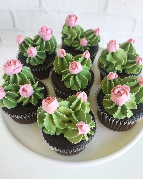 Cupcakes Design, Cactus Cupcakes, Succulent Cupcakes, Succulent Cake, Cactus Cake, Cupcake Cake Designs, Chocolate Nutella, Cupcake Designs, Köstliche Desserts