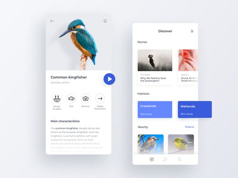 Bird Atlas App by Monika Michalczyk Neumorphism Ui, Gcse Graphics, Bird App, Common Kingfisher, Bird Identification, Social Design, Mobile Interface, Web Design Company, Wireframe