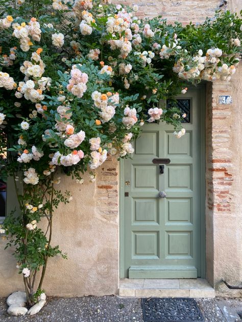 My rose in full bloom Climbing Rose Front Door, Climbing Roses On House, Small Rose Garden, Painting Ideas Pumpkin, Fence Edging Ideas, Front Yard Halloween, Small Theatre Room, Thanksgiving Table Setup, Small Theatre Room Ideas