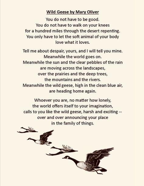 Mary Oliver - Wild Geese Wild Geese By Mary Oliver, Mary Oliver Poems Wild Geese, Wild Geese Mary Oliver Tattoo, Mary Oliver Tattoo, Wild Geese Poem, Geese Tattoo, Wild Geese Mary Oliver, Poem Tattoo, Profile Status