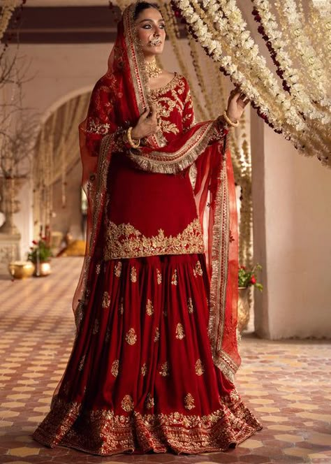 Afreen 2 - Laam Farshi Gharara, Ayeza Khan, Amazing Ideas, Raw Silk, Silk Shirt, Fancy Dresses, Red, Dresses