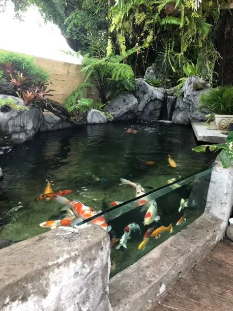 Japanese Koi Pond Design, Indoor Koi Pond Ideas, Modern Koi Pond Design, Koi Fish Pond Backyard, Outdoor Koi Pond, Indoor Koi Pond, Pond Indoor, Fish Pond Ideas, Indoor Pond Ideas