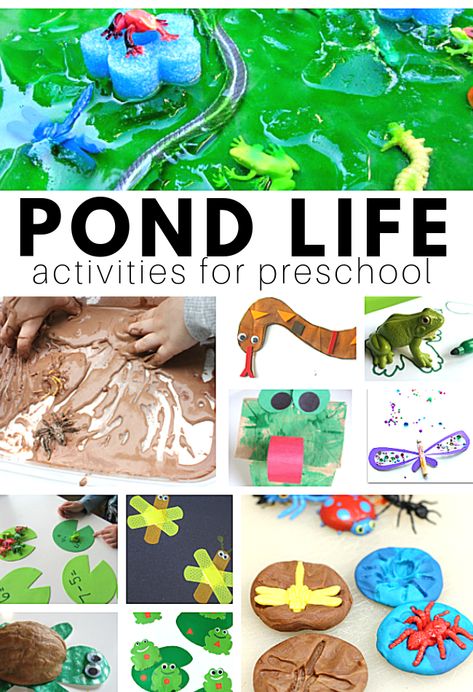 Pond Life Preschool Crafts, Pond Life Preschool, Activities For Daycare, Preschool Crafts Activities, Pond Life Theme, Frogs Preschool, Pond Crafts, Frog Activities, Pond Animals