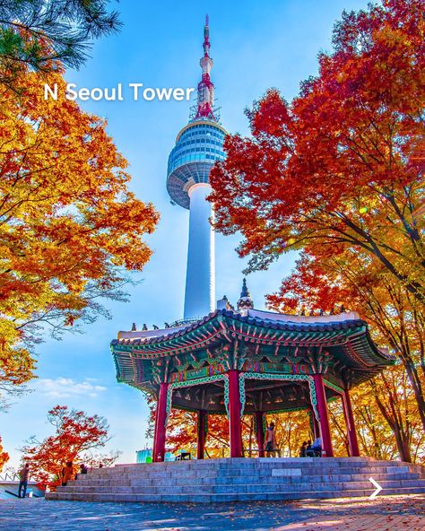 Ready to explore the vibrant city of Seoul? Whether you're into history, culture, or modern wonders, here are some of the best tourist attractions you won’t want to miss 👉 - - - #seoul #seoulkorea #seoultravel #seoultrip #seoul_korea #southkorea #visitseoul #southkoreatravel #southkoreatrip Korea Tourist Attractions, Visit Seoul, Seoul Travel, South Korea Travel, Seoul Korea, Tourist Attraction, To Miss, South Korea, Seoul