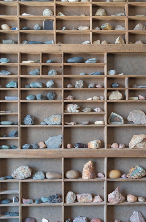 12 Beautiful Rock Collection Display Ideas | DetectingDaily Rock Collection Display Ideas, Metaphysical Business, Rock Collection Storage, Museum Exposition, Crystal Display Ideas, Collection Display Ideas, Rock Collection Box, Fossil Display, Object Collection