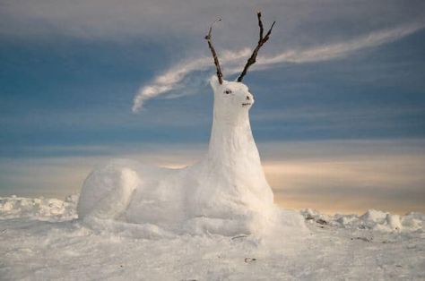 This snow deer or elk sits proudly as he watches over the frozen landscape. A new perspective from the standard snowman, this deer would make a fantastic addition to any outdoor landscape. Imagine how fun it would be to create something entirely different and new in the snow with the kids? Take that, traditional snowman! Get the whole family involved and create several fun winter critters to liven up the frozen yard and draw plenty of attention to your house. Frozen Landscape, Snow Castle, Snow Fort, Snow Activities, Snow Sculptures, Ice Art, Gardening Diy, Snow Art, Winter Girl