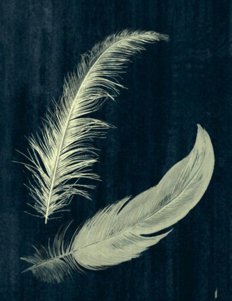 Feather Heart Tattoo, Feather Aesthetic, Poetry Background, Weather Aesthetic, Two Feathers, Angel Feather, Feather Drawing, Hope Is The Thing With Feathers, Angel Feathers