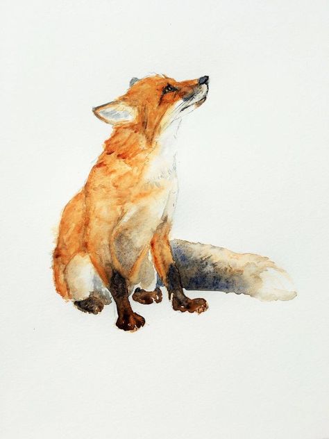 Fox Pencil Drawing, Red Fox Tattoos, Fox Watercolour, Botanical Art Drawing, Fox Drawing, Art Tutorials Watercolor, Fox Painting, Spirit Animal Art, Watercolor Pictures