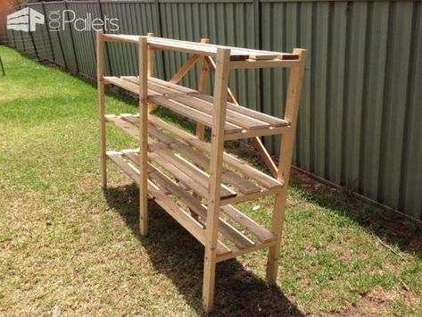 Pallet Shelving for inside greenhouse!