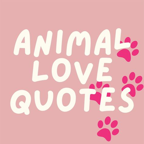 Whether you’re a lover of dogs or crazy about cats, these animal love quotes will make you smile about your four-legged friends. Pets Love Quotes, Quotes For Animal Lovers, I Love Animals Quote, Quotes About Pets Love, Quote About Animals, Letter Board Quotes Dogs, Choosing Between Two Things, Cute Pet Quotes, Loving Animals Quotes