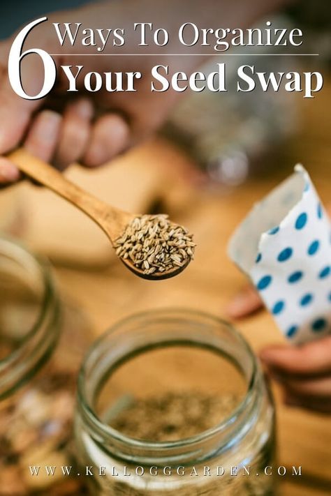 6 Ways To Organize Your Seed Swap Giving Seeds As A Gift, Seed Swap Party, Seed Exchange Ideas, Seed Swap Ideas, Seed Swap, Seed Library, Seed Exchange, Swap Party, Yw Activities