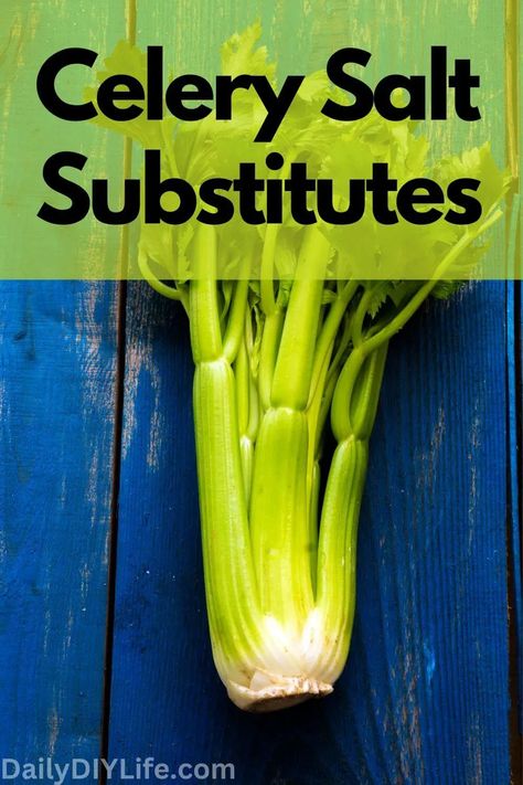 It seems like every recipe I pull up lately calls for celery salt. Well, dang it, people, sometimes you need a celery salt substitute. Let’s get to it. Celery Salt Diy, Substitute For Celery, Salt Substitute, Celery Salt, Spice Blends Recipes, Healthy Comfort, Celery Seed, Recipe Community, Healthy Comfort Food