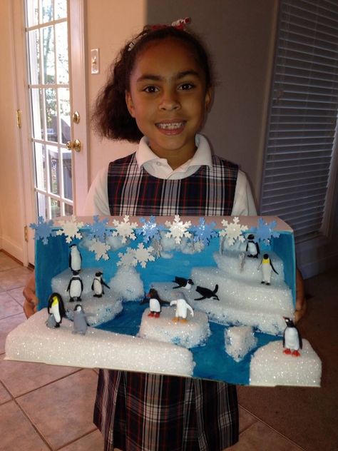 Penguin Diarama Penguins Project, Arctic Habitat, Biomes Project, Diorama Kids, Diarama Ideas, Ecosystems Projects, Habitats Projects, Urs Polar, مشروعات العلوم