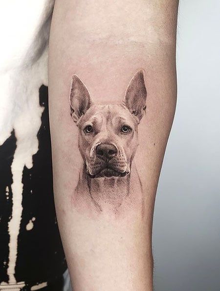 It's no secret that most of us could scream our love for our pets out loud on the streets. So what better love statement other than carrying their portraits on our skin? Simple Dog Portrait Tattoo, Small Dog Portrait Tattoo, Creative Dog Tattoos, Dog Back Tattoo, Pitbull Tattoo For Women, Dog Head Tattoo, Realistic Dog Tattoo, Dog Face Tattoo, Unique Dog Tattoo Ideas