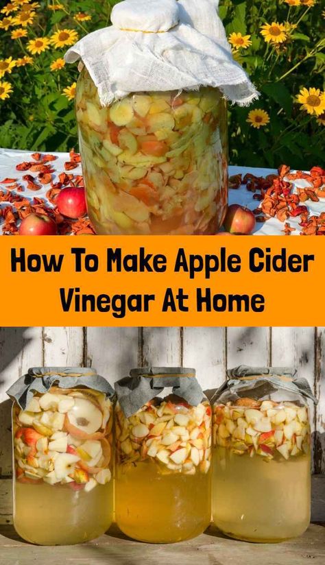 Apple Cider Vinegar Homemade, Homemade Apple Cider Vinegar, Make Apple Cider, Apple Cider Vinegar Recipes, Make Apple Cider Vinegar, Homemade Apple Cider, Fermentation Recipes, Cold Sores Remedies, Natural Cold Remedies