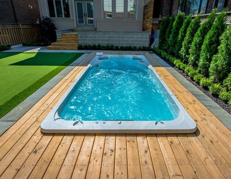 Lap Pools Backyard, Pools For Small Yards, Small Outdoor Patios, Endless Pool, Pools Backyard Inground, Small Yards, Small Swimming Pools, Small Pool Design, Small Pools